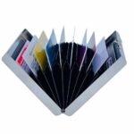 Card Holder 10 Pocket